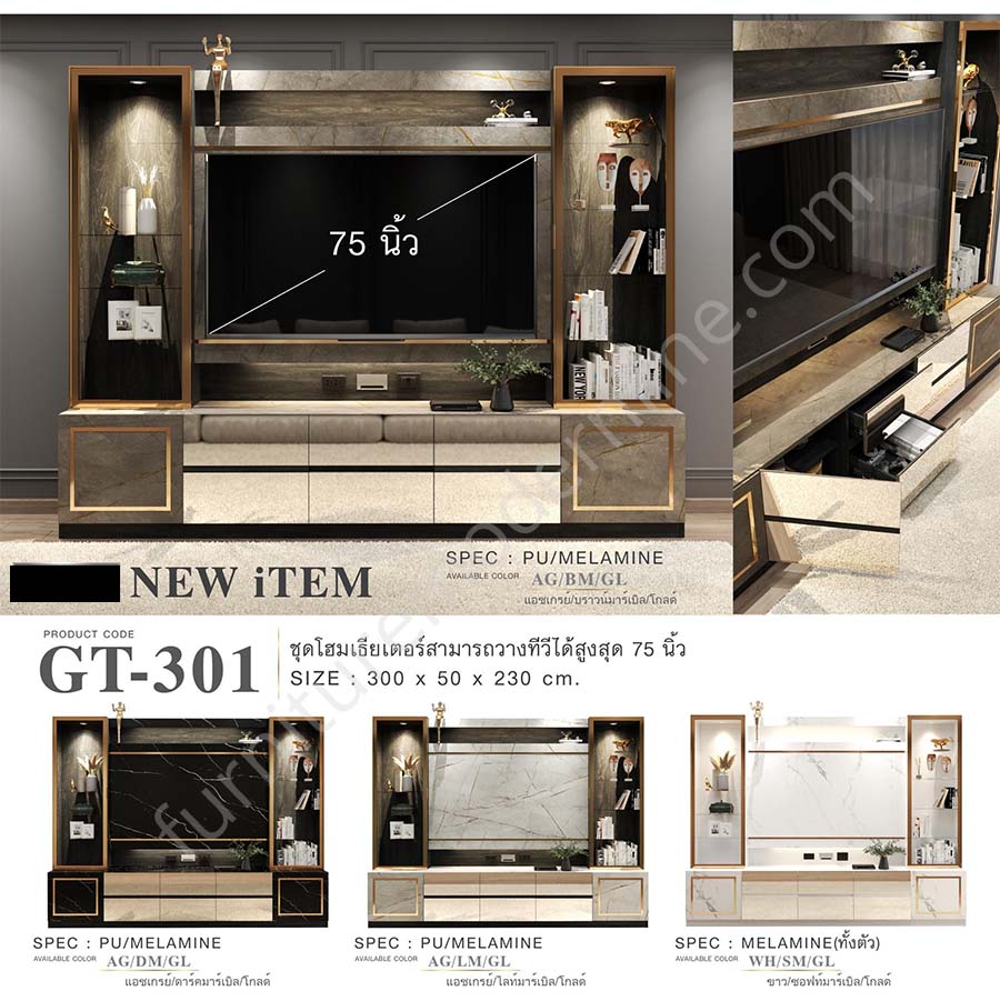 GT-301.jpg